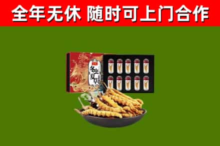 东兴烟酒回收冬虫夏草礼盒.jpg